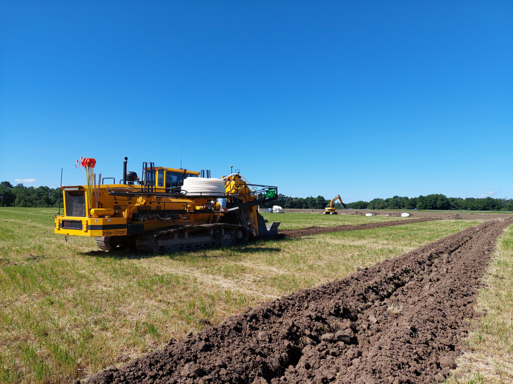 Dynamic Content Image